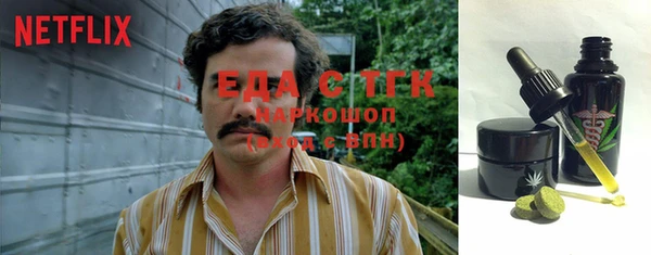 хмурый Дмитровск