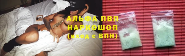 индика Дмитров