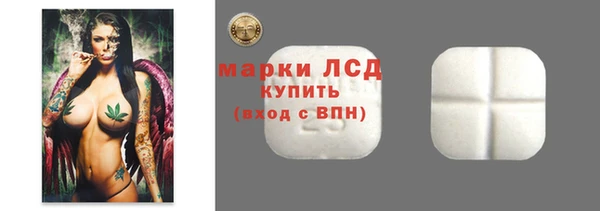 крисы Новодвинск