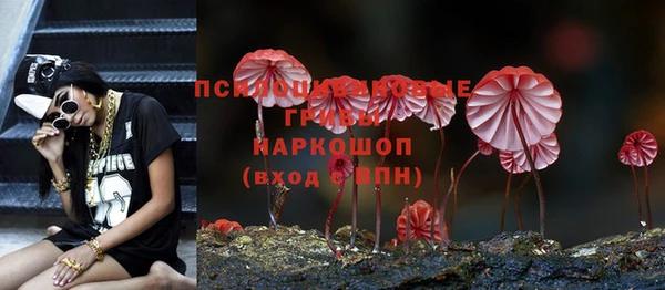 скорость mdpv Гусиноозёрск