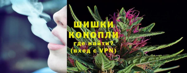 индика Дмитров