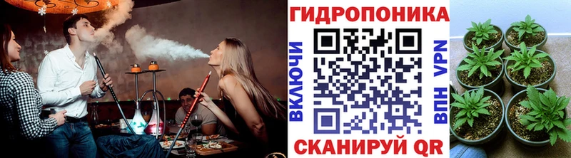 где найти   Окуловка  Канабис планчик 